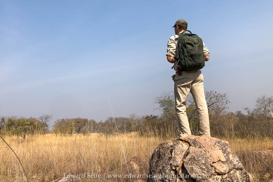 Wildlife image from photo safari with edward selfe.