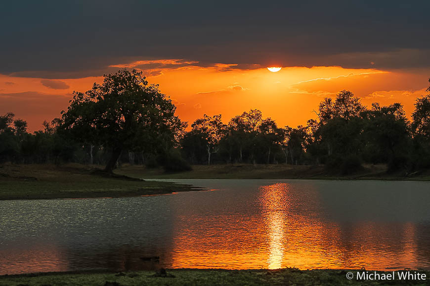 Mike white’s image of wildlife from photo safari with edward selfe in zambia.