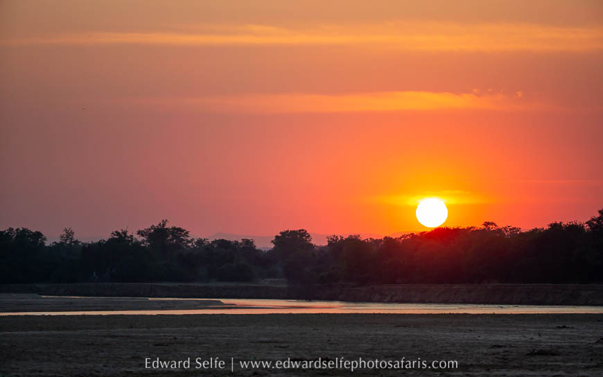Wildlife image from photo safari with edward selfe.