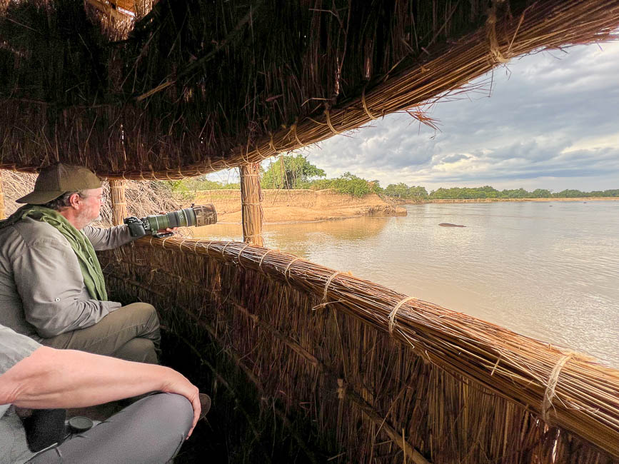 Images of wildlife from photo safari with edward selfe in the south luangwa np.