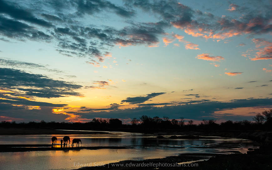 Wildlife image from photo safari with edward selfe safaris.