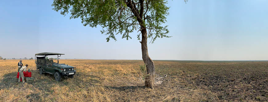 Images of wildlife from photo safari with edward selfe in the kafue national park.