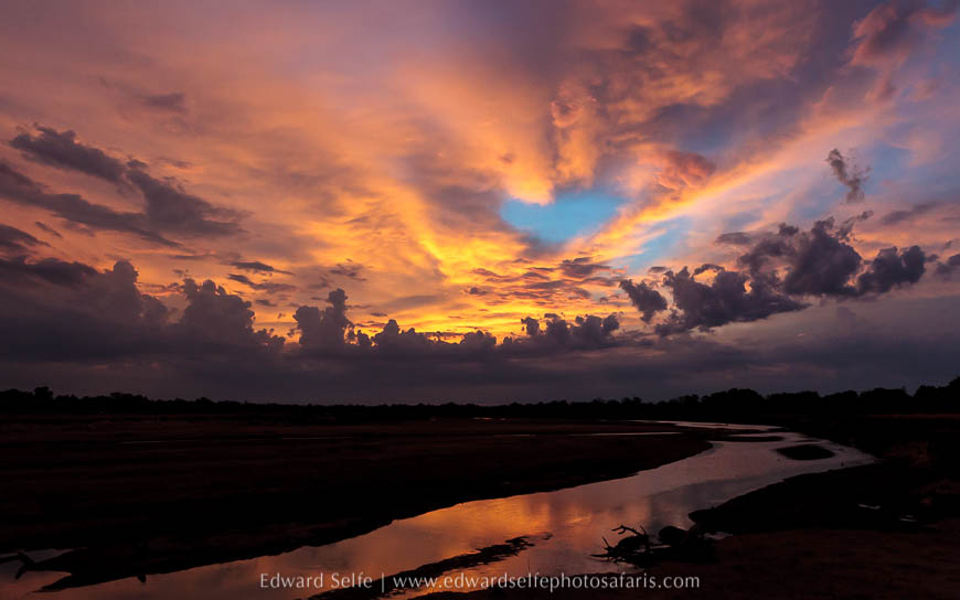 Wildlife image from photo safari with edward selfe in south luangwa national park.