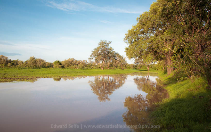 A flooded lagoon in South Luangwa National Park