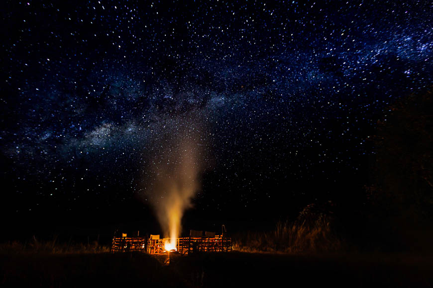 Andre erlichs image of wildlife from photo safari with edward selfe in zambia.