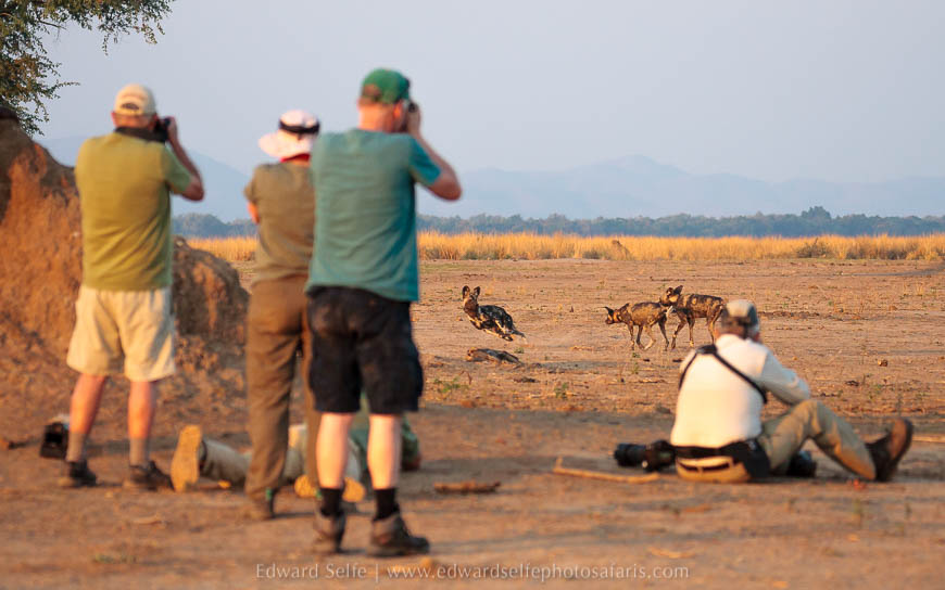 Wildlife image from photo safari with edward selfe.