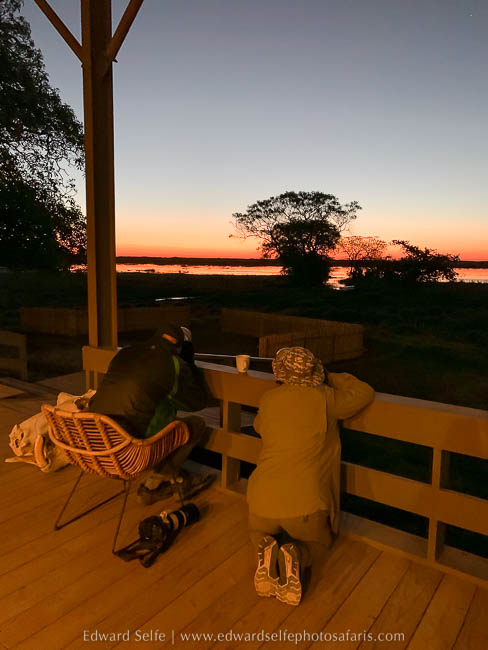 Wildlife image from a photo safari with edward selfe.