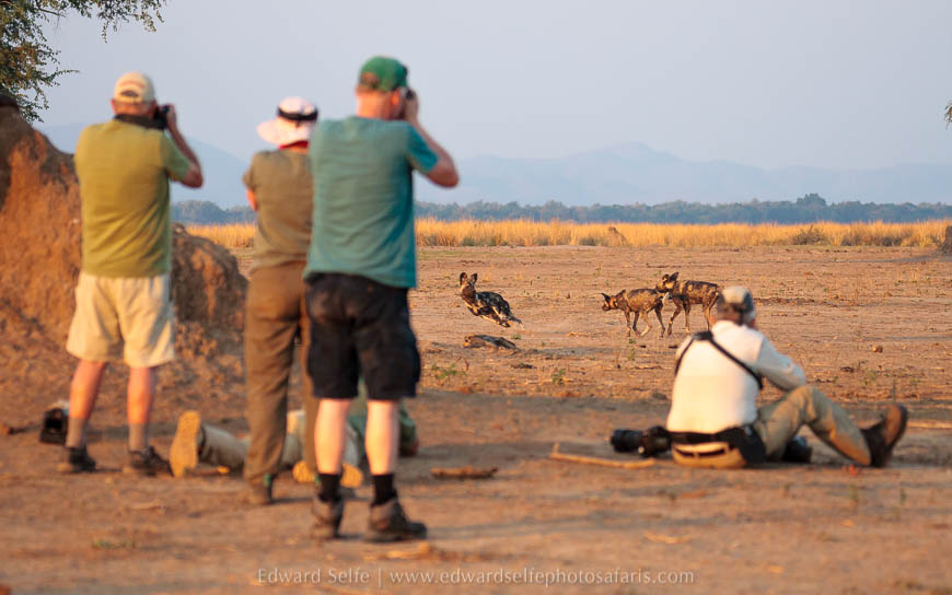 Wildlife image from photo safari with edward selfe safaris.