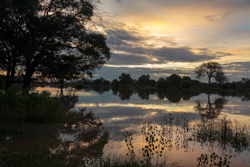 Wildlife image from photo safari with edward selfe in south luangwa national park.