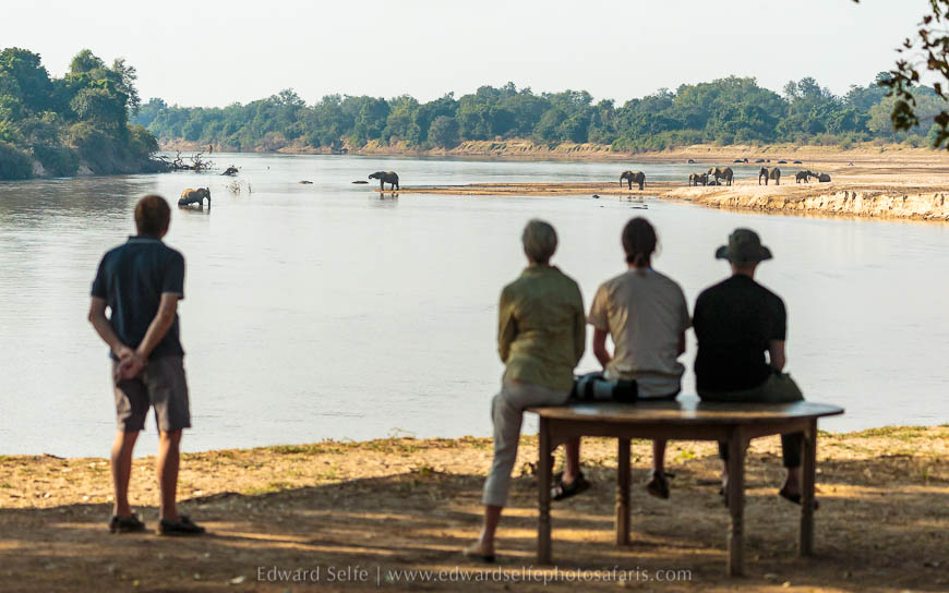 Wildlife image from photo safari with edward selfe in south luangwa national park.