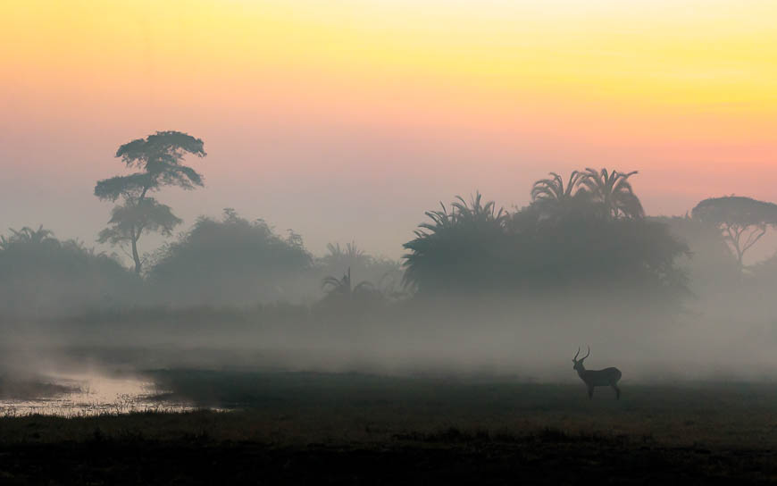Images of wildlife from photo safari with edward selfe in zambia.