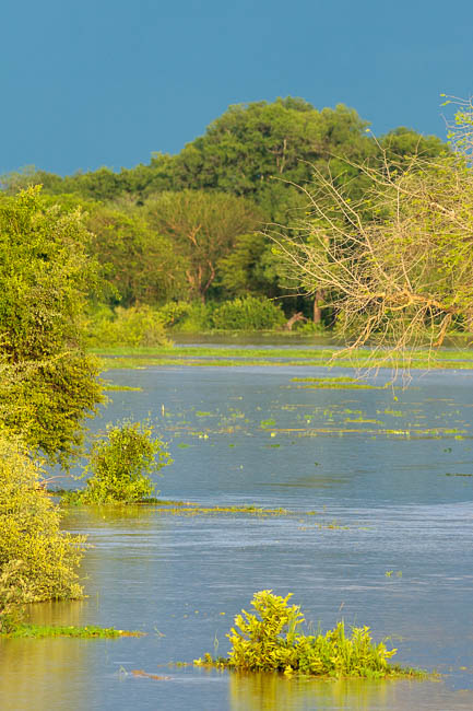 The Luangwa River flooding out into the surrounding floodplains and lagoons.