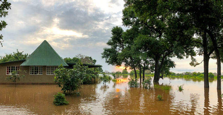 Wildlife image from photo safari with edward selfe in south luangwa national park.