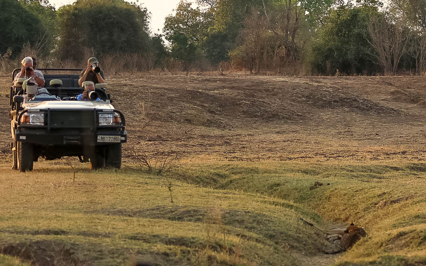 Wildlife image from photo safari with edward selfe in south luangwa national park.