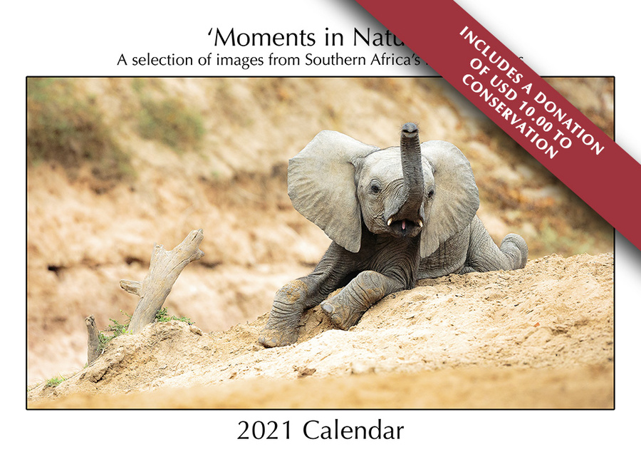 Wildlife image from photo safari with edward selfe.