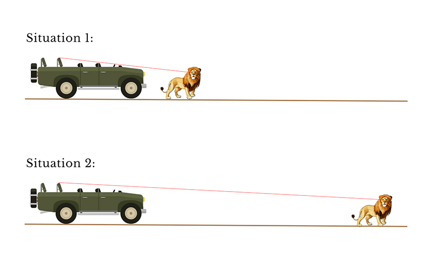 Wildlife image from photo safari with edward selfe in south luangwa national park.