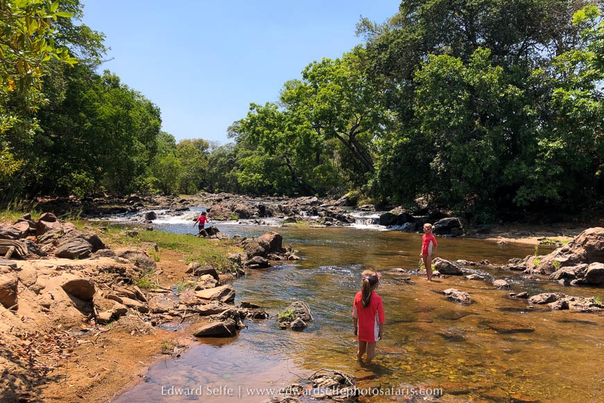 Wildlife image from photo safari with edward selfe.