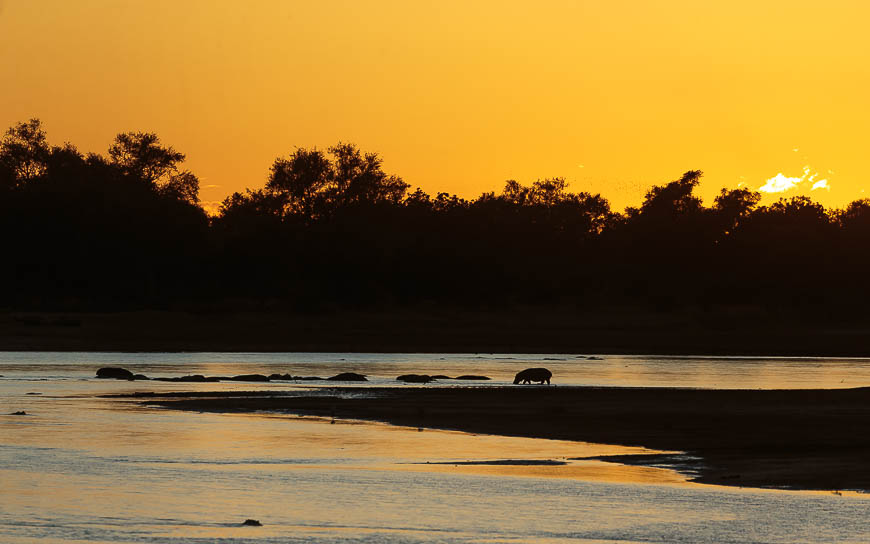 Images of wildlife from photo safari with edward selfe in zambia.