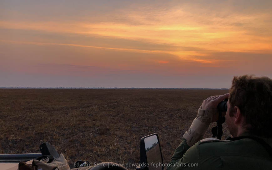 Wildlife image from photo safari with edward selfe safaris.
