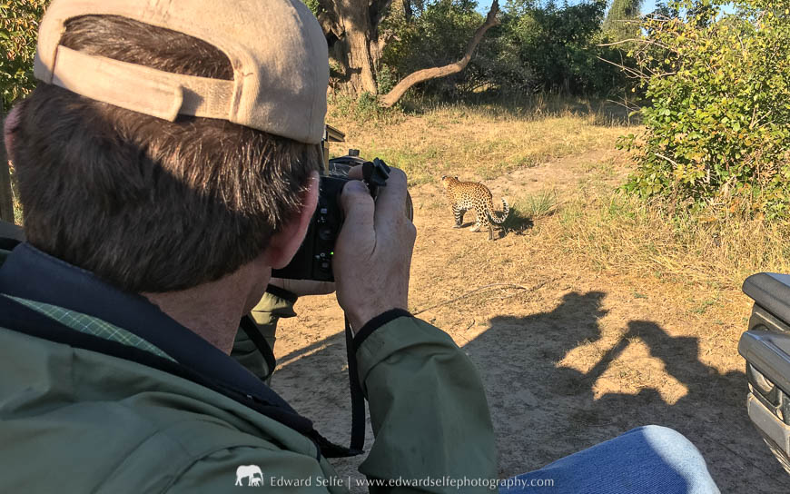 A photographer takes photos of a leopard on a photo safari with Edward Selfe in South Luangwa National Park