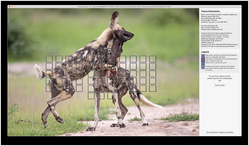 Wildlife image from photo safari with edward selfe in south luangwa national park.