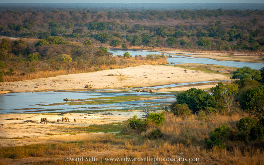 Wildlife image from photo safari with edward selfe.