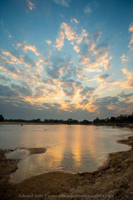 Wildlife image from photo safari with edward selfe in south luangwa national park.