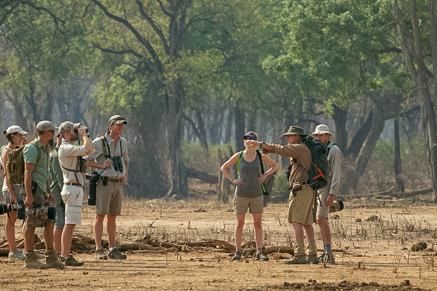 A walking safari in Mana Pools National Park.