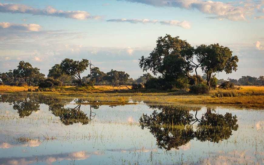 Images of wildlife from photo safari with edward selfe