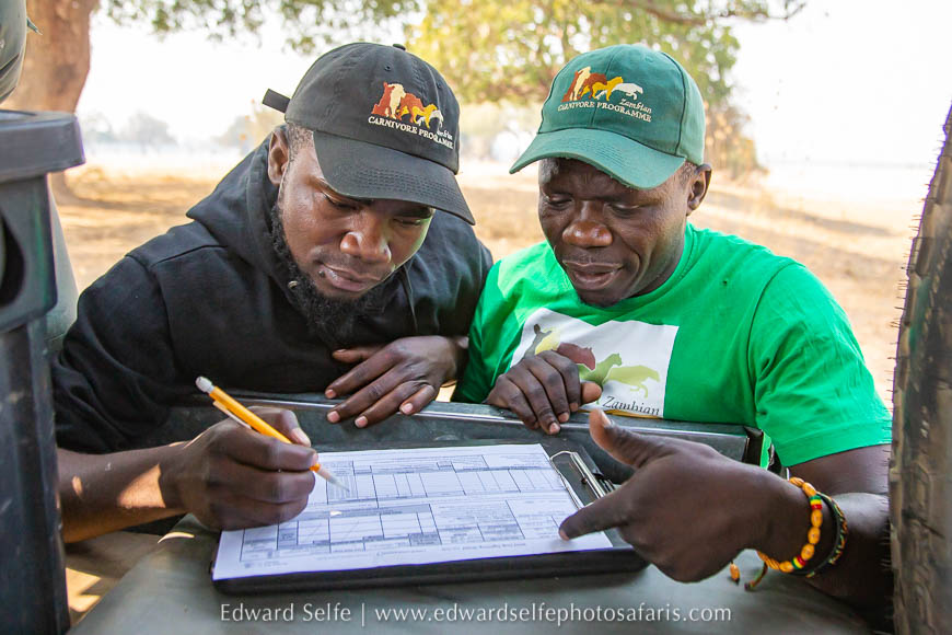 Wildlife image from photo safari with edward selfe.