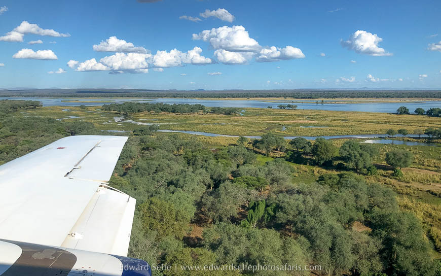 Wildlife image from photo safari with edward selfe in lower zambezi national park.