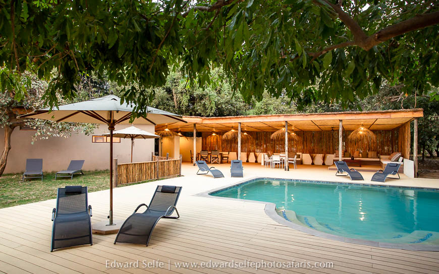 Wildlife image from photo safari with edward selfe.