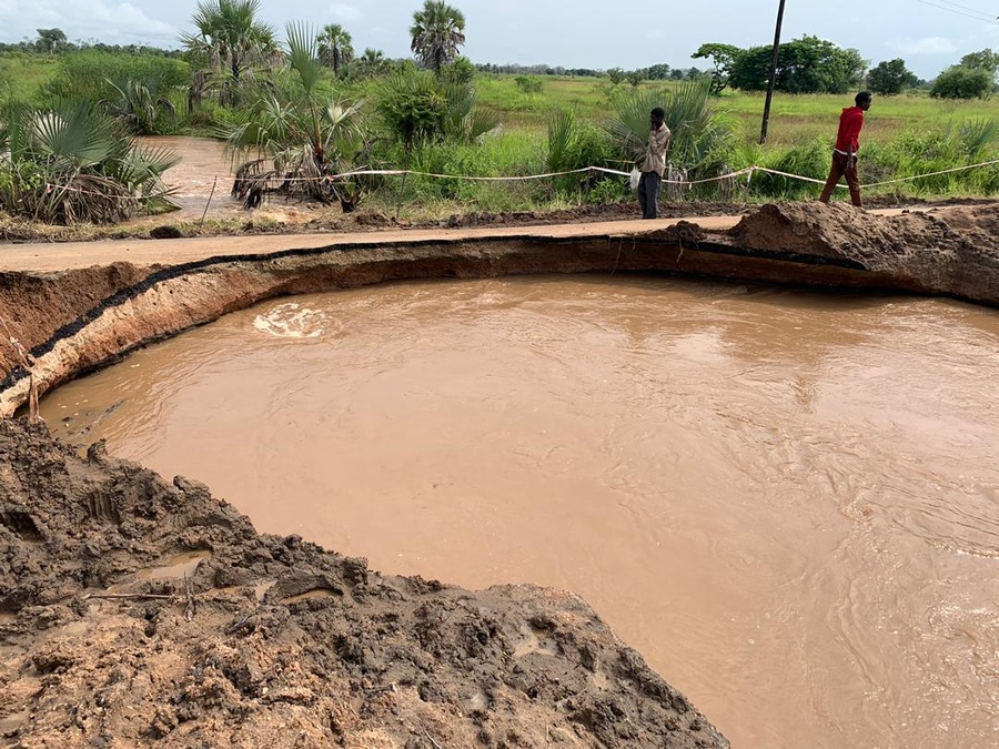 Wildlife image from photo safari with edward selfe in south luangwa national park.