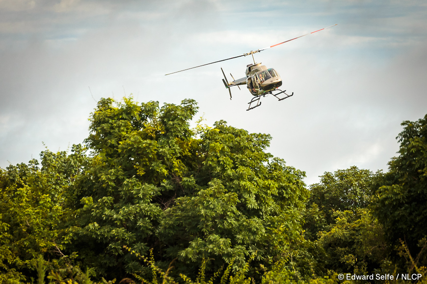 Images of the rescue a wild black rhino and his safe return to north luangwa national park.