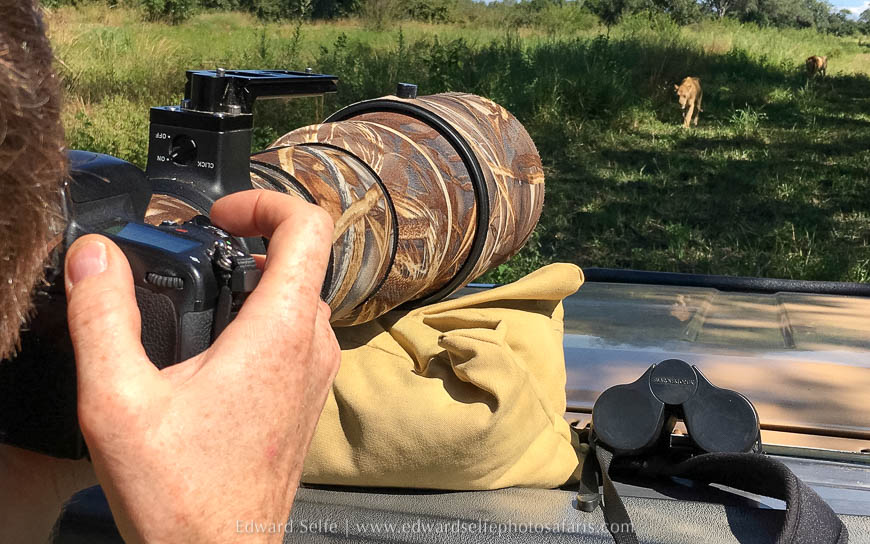 Wildlife image from photo safari with edward selfe in south luangwa national park.