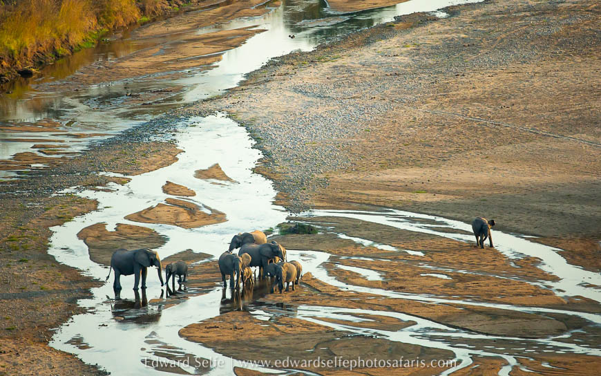 Wildlife image from photo safari with edward selfe.