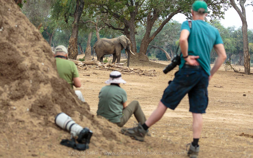 Wildlife image from photo safari with edward selfe.