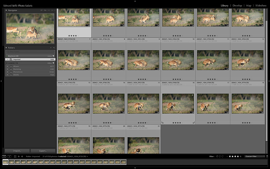 Wildlife image from photo safari with edward selfe.