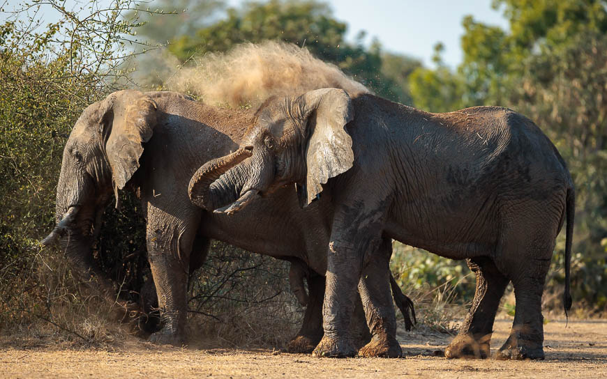 Images of wildlife from photo safari with edward selfe in the nsefu sector.