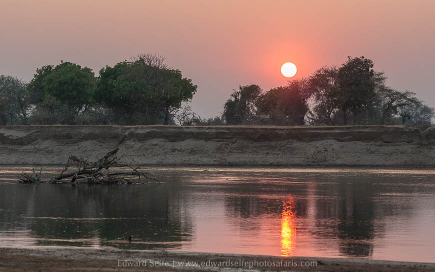 Wildlife image from photo safari with edward selfe in south luangwa national park.