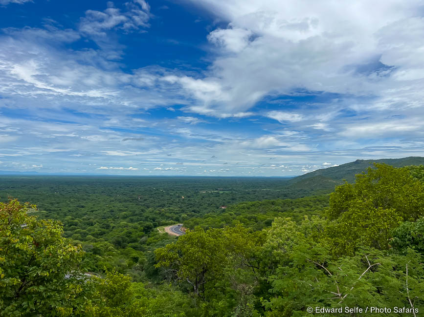 Wildlife image by edward selfe from road trip in zimbabwe & mozambique.