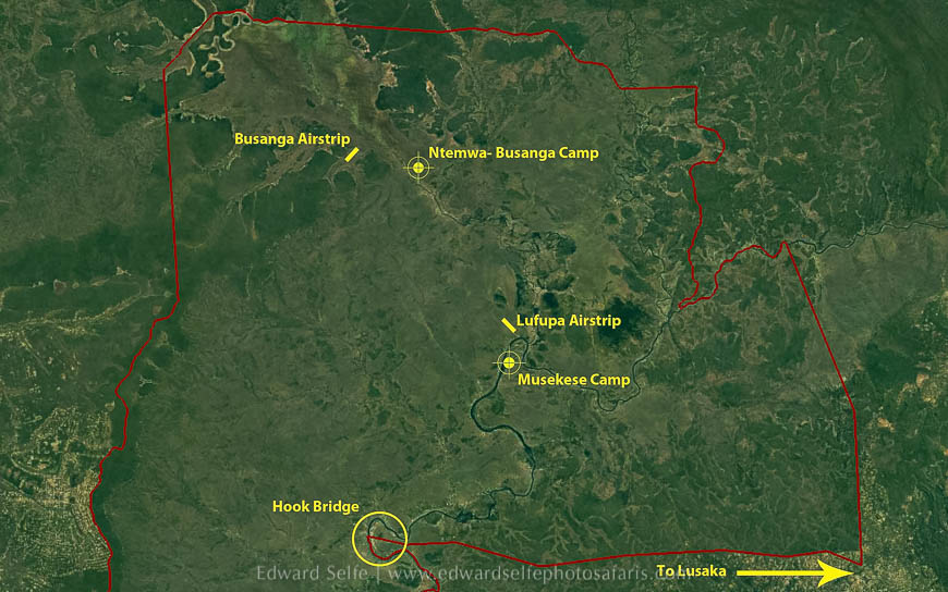 Wildlife image from photo safari with edward selfe safaris.