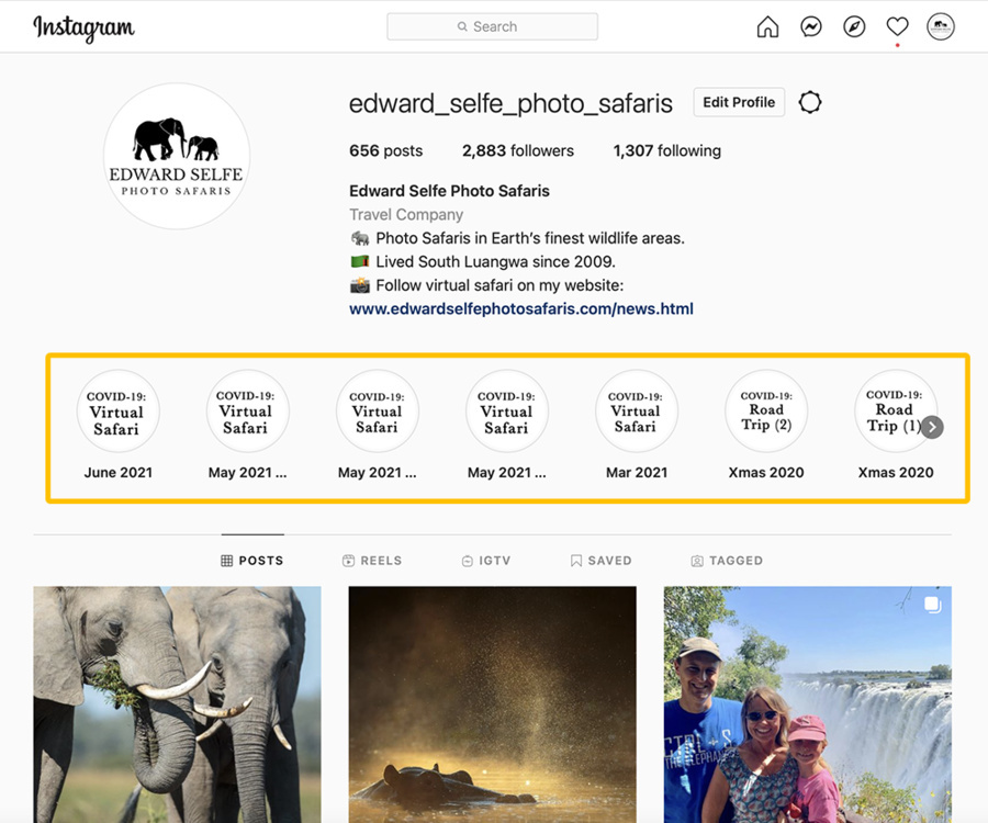 Image of elephant in the forest south luangwa by edward selfe.