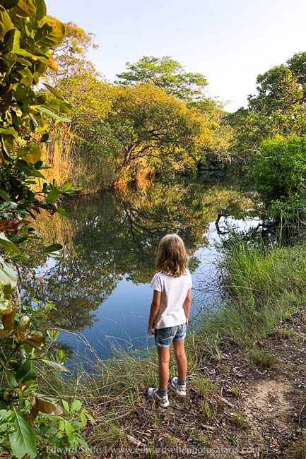 Wildlife image from photo safari with edward selfe.