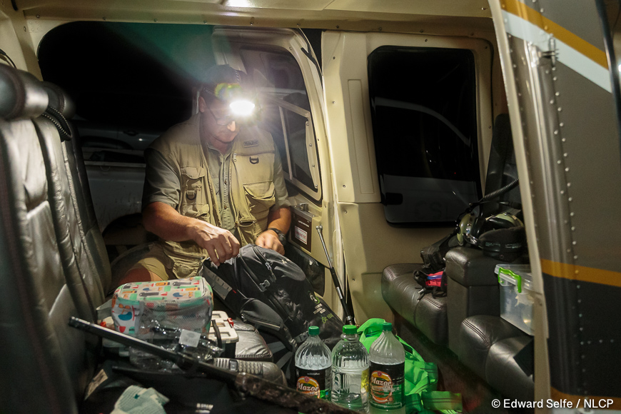 Images of the rescue a wild black rhino and his safe return to north luangwa national park.