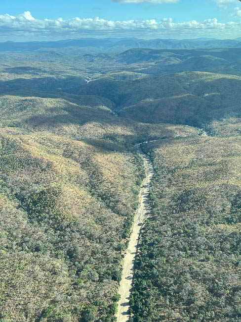 Images of wildlife from photo safari with edward selfe in zambia.