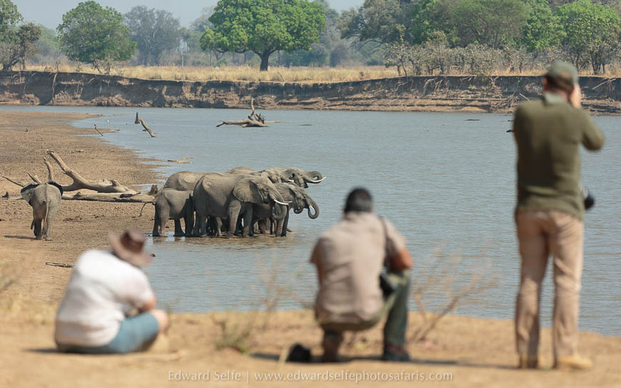 Wildlife image from photo safari with edward selfe in south luangwa national park.