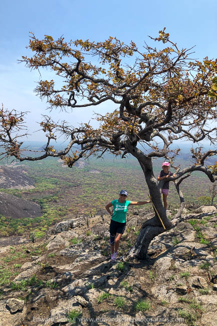 Wildlife image from photo safari with edward selfe.