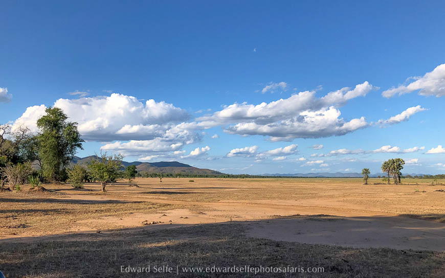Wildlife image from photo safari with edward selfe in lower zambezi national park.