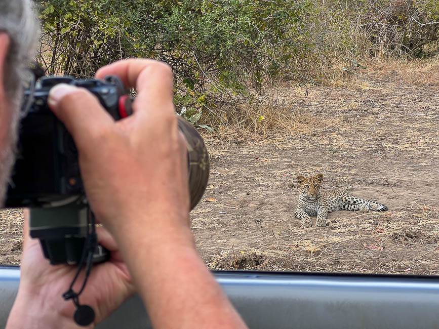 Images of wildlife from photo safari with edward selfe in the south luangwa np.